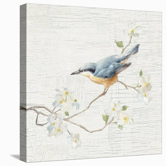 Nuthatch Vintage-Danhui Nai-Stretched Canvas