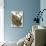 Nuthatch-English-Premier Image Canvas displayed on a wall