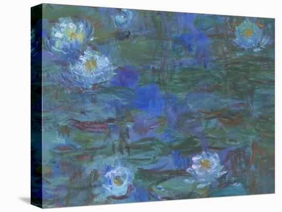 Nymphéas bleus-Claude Monet-Premier Image Canvas