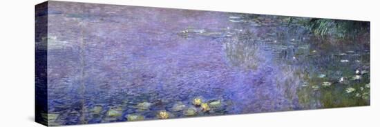 Nympheas-Claude Monet-Premier Image Canvas