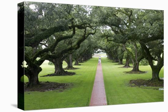 Oak Alley Plantation, Alley of Oaks, Virginia Live Oaks, Louisiana, USA-Jamie & Judy Wild-Premier Image Canvas