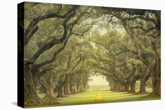 Oak Alley, view from veranda-William Guion-Stretched Canvas