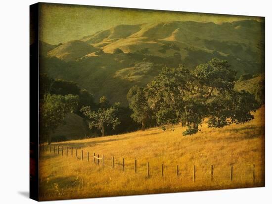 Oak and Fence-William Guion-Stretched Canvas