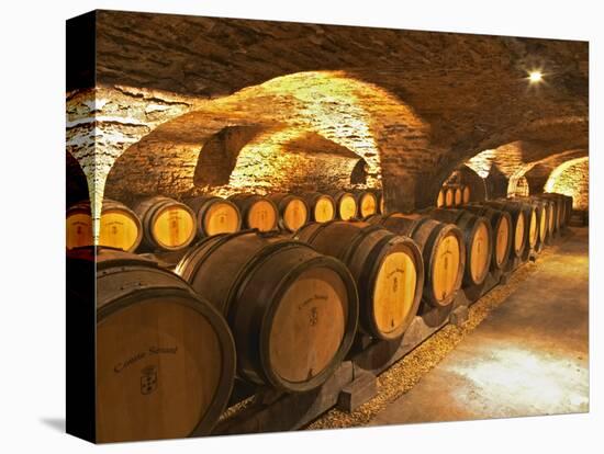 Oak Barrels in Cellar at Domaine Comte Senard, Aloxe-Corton, Bourgogne, France-Per Karlsson-Premier Image Canvas