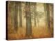 Oak Grove in Fog-William Guion-Stretched Canvas