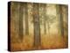 Oak Grove in Fog-William Guion-Premier Image Canvas