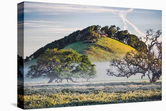 Oak Hills and Mist, Petaluma Backroads, Sonoma County-Vincent James-Premier Image Canvas