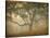 Oak in Fog Study 13-William Guion-Stretched Canvas