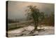 Oak Tree by the Elbe in Winter-Johan Christian Clausen Dahl-Premier Image Canvas