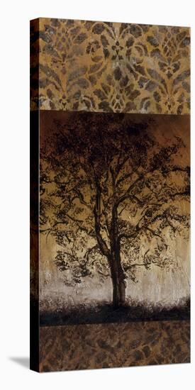 Oak Tree I-Lynn Kelly-Stretched Canvas