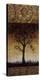 Oak Tree II-Lynn Kelly-Stretched Canvas