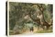Oak Trees, Hope Ranch, Santa Barbara, California-null-Stretched Canvas