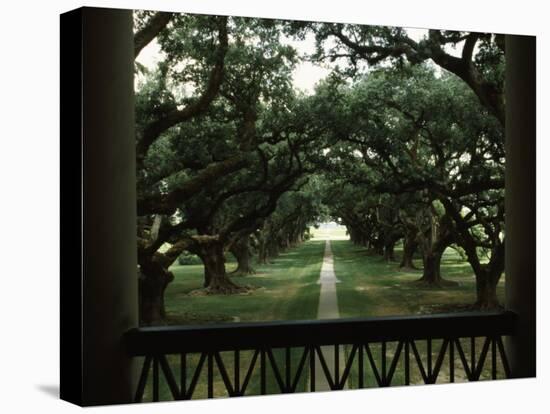 Oak Trees in Front of a Mansion, Oak Alley Plantation, Vacherie, Louisiana, USA-null-Premier Image Canvas