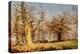 Oak Trees in Sherwood Forest, 1877-Andrew Maccallum-Premier Image Canvas