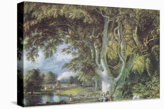 Oak Trees, Shoreham, Kent, Nature in Britain Published by Collins, 1946 (Litho)-Samuel Palmer-Premier Image Canvas