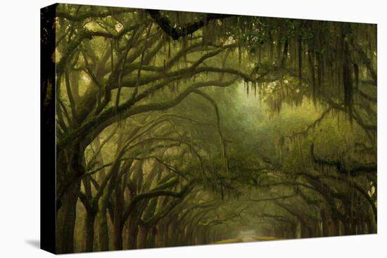 Oak Trees with Spanish Moss, Savannah, Georgia, USA-Joanne Wells-Premier Image Canvas