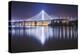 Oakland Bay Bridge, Night Reflection-Vincent James-Premier Image Canvas