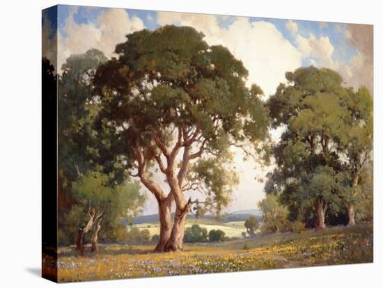 Oaks and Wildflowers-Percy Gray-Stretched Canvas