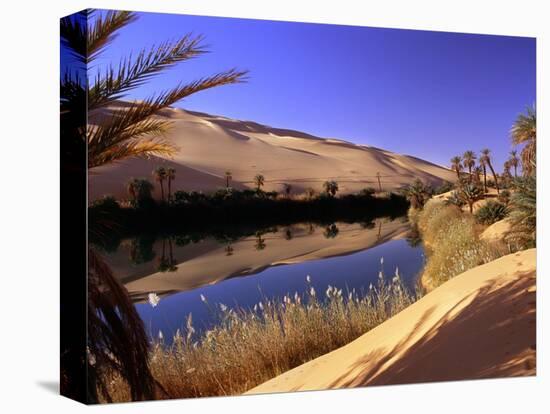 Oasis at Um Al Ma salt lake, Sahara desert, Ubari, Libya-Frans Lemmens-Premier Image Canvas