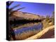 Oasis at Um Al Ma salt lake, Sahara desert, Ubari, Libya-Frans Lemmens-Premier Image Canvas