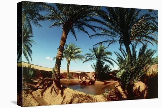Oasis on the Road South of Adrar, Algeria-Sinclair Stammers-Premier Image Canvas
