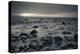Ocean at Sunset, Montauk Point, Montauk, Long Island, New York State, USA-null-Premier Image Canvas
