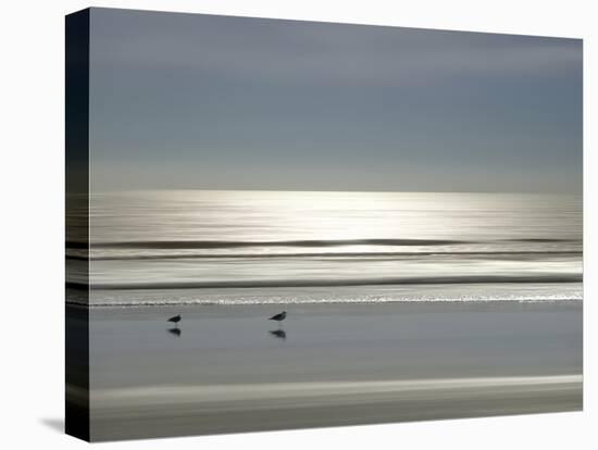 Ocean Birds, 2024-Alex Hanson-Stretched Canvas