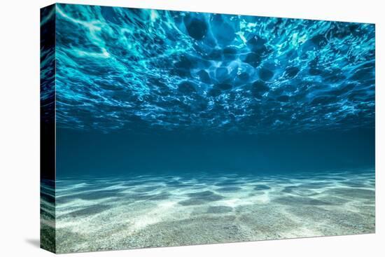 Ocean Bottom, View Beneath Surface-Cico-Premier Image Canvas