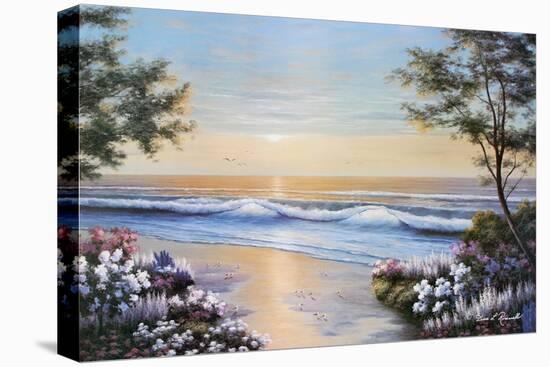 Ocean Breeze-Diane Romanello-Stretched Canvas