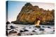 Ocean Door and Golden Light, Big Sur California Coast-Vincent James-Premier Image Canvas