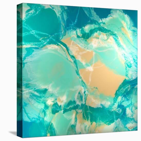 Ocean Floor-Barbara Bilotta-Stretched Canvas