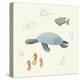 Ocean Life Sea Turtle-Becky Thorns-Stretched Canvas