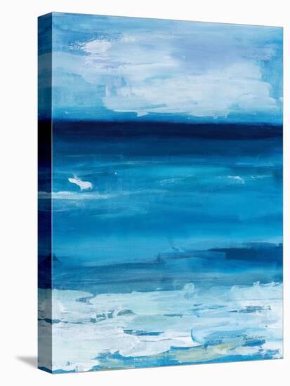 Ocean Life-Pamela Munger-Stretched Canvas