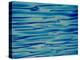 Ocean, Maldives-Stuart Westmorland-Premier Image Canvas