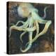 Ocean Octopus on Black-Danhui Nai-Stretched Canvas