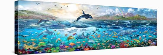 Ocean Panorama-Adrian Chesterman-Stretched Canvas