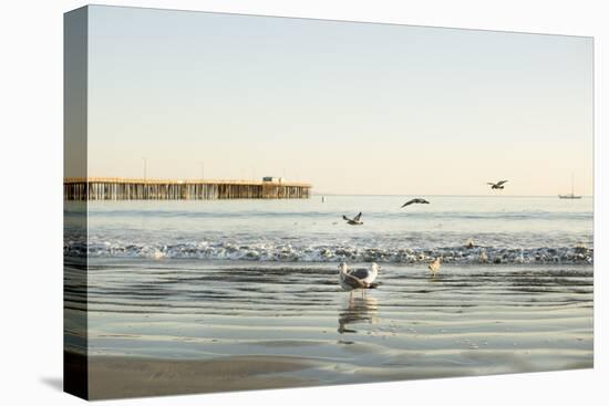 Ocean Pier-Karyn Millet-Premier Image Canvas
