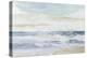Ocean Salt-Tom Reeves-Stretched Canvas