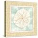 Ocean Sanddollar-Chariklia Zarris-Stretched Canvas