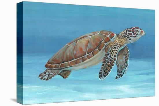 Ocean Sea Turtle I-Tim O'toole-Stretched Canvas