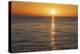 Ocean Sunset-Matt Roseveare-Stretched Canvas