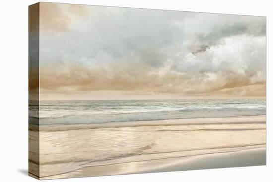 Ocean Tide-John Seba-Stretched Canvas