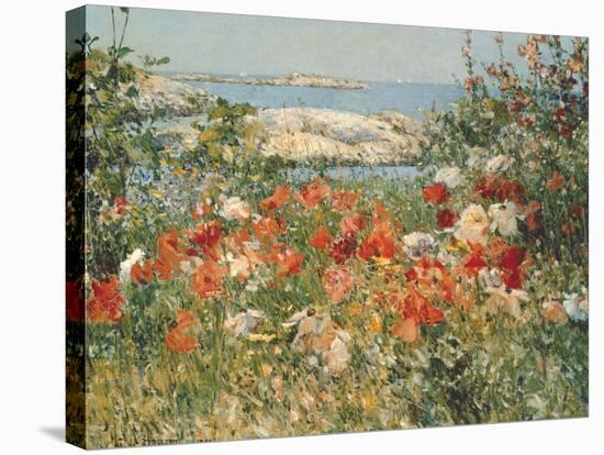 Ocean View-Childe Hassam-Stretched Canvas