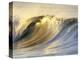 Ocean Wave Breaking-David Pu'u-Premier Image Canvas