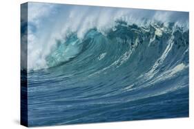 Ocean Wave-Rick Doyle-Premier Image Canvas
