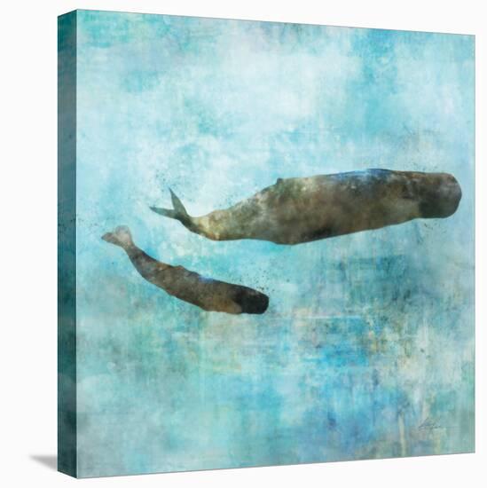 Ocean Whale 2-Ken Roko-Stretched Canvas