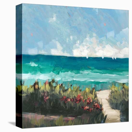 Oceanside II-Jane Slivka-Stretched Canvas