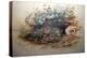 Ocelot, 1851-52-Joseph Wolf-Premier Image Canvas