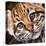 Ocelot Kitten-Sarah Stribbling-Stretched Canvas