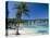 Ocho Rios, Jamaica, West Indies, Central America-Sergio Pitamitz-Premier Image Canvas